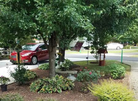 Choestoe Falls RV Park