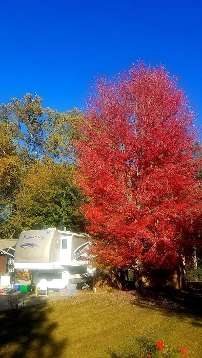 River's Edge RV Park Picture 6