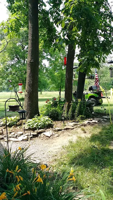 Back 40 Campground Picture 7