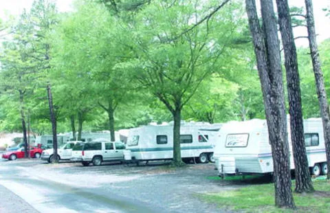 Charlotte / Fort Mill KOA Journey Picture 1