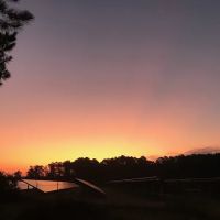 Rick's Mobil Home ico