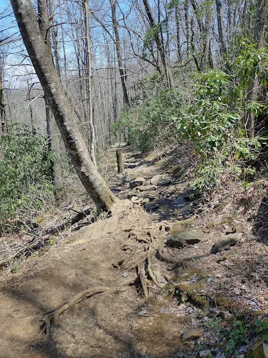 Crabtree Falls Campground Picture 6
