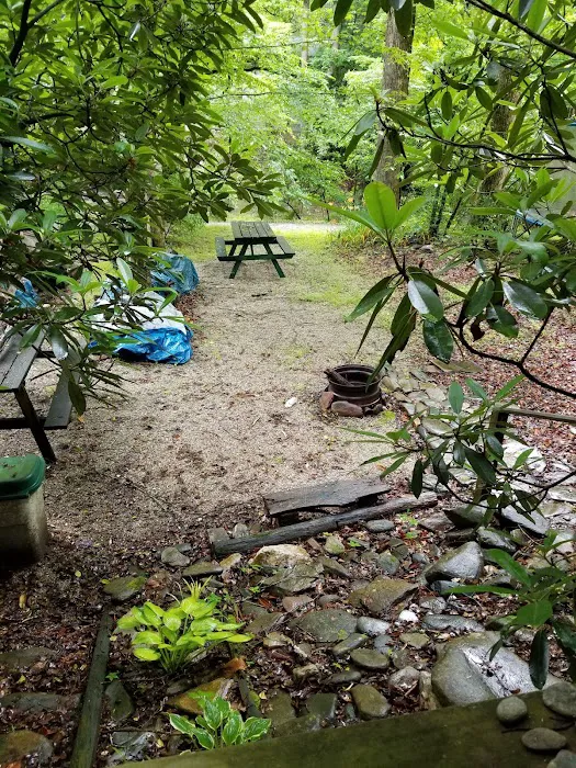 Triple C Campground Picture 10