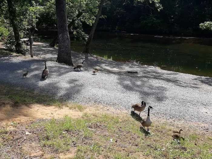 Yancey County Toe River Campground Picture 10