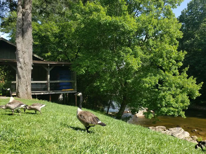 Yancey County Toe River Campground Picture 7