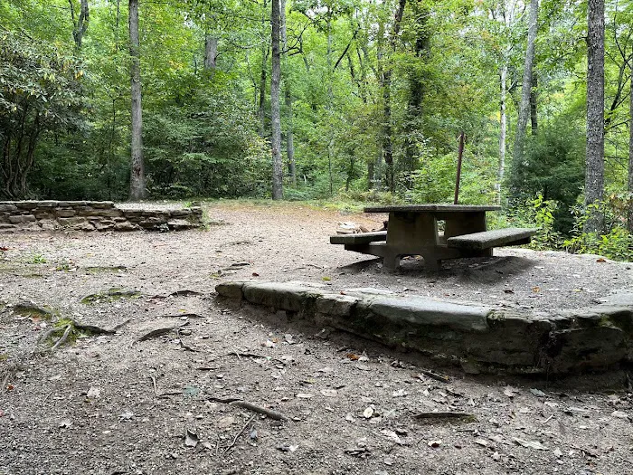 Carolina Hemlocks Recreation Area Picture 8