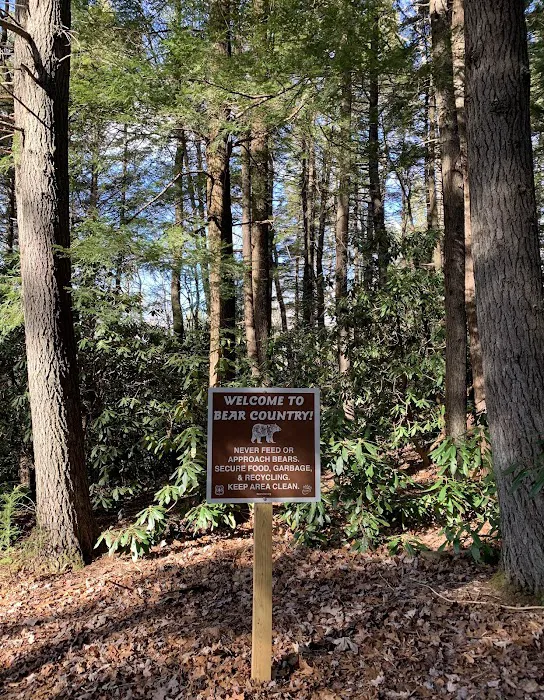Carolina Hemlocks Recreation Area Picture 7