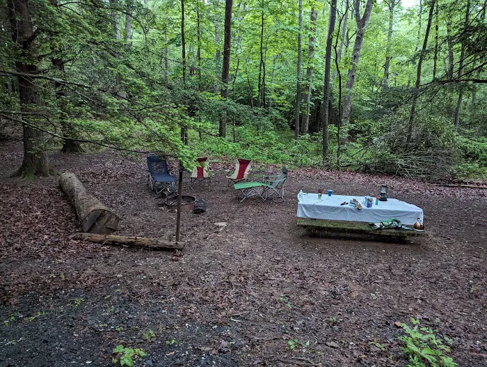 Carolina Hemlocks Recreation Area Picture 9