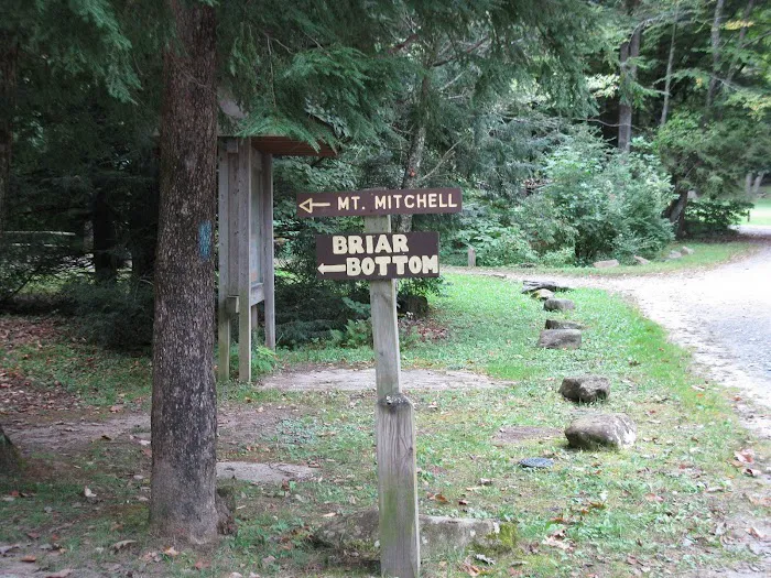 Black Mountain Campground/Briar Bottom Group Campground Picture 5