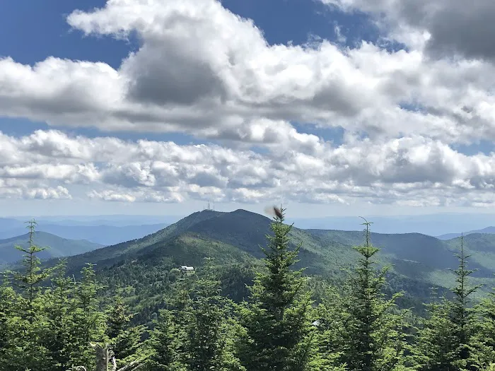 Black Mountain Campground/Briar Bottom Group Campground Picture 7