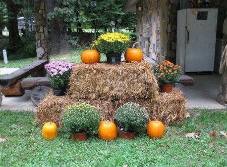 Black Mountain Campground/Briar Bottom Group Campground