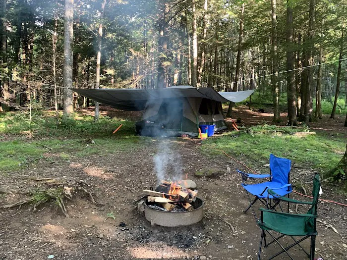 Black Mountain Campground/Briar Bottom Group Campground Picture 9