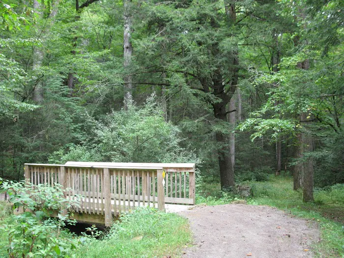 Black Mountain Campground/Briar Bottom Group Campground Picture 2