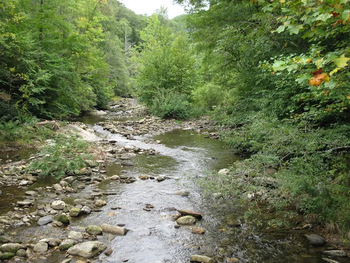 Black Mountain Campground/Briar Bottom Group Campground Picture 4