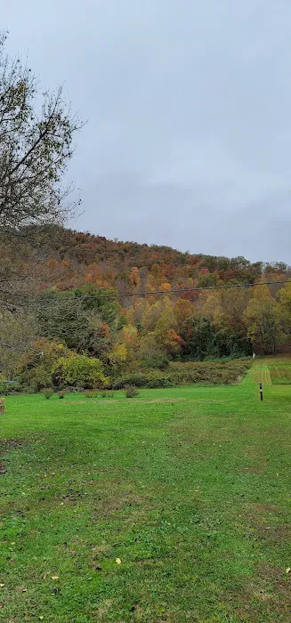 North Evarts RV Park Picture 2