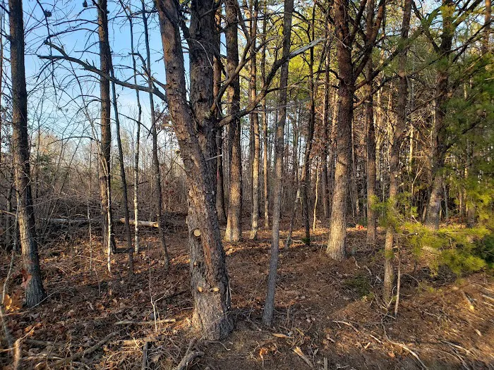 Deer Creek Campground, LLC Picture 6