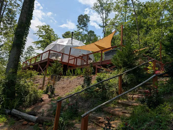 Carolina Domes Picture 3