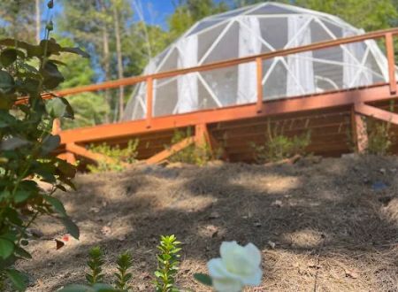 Carolina Domes