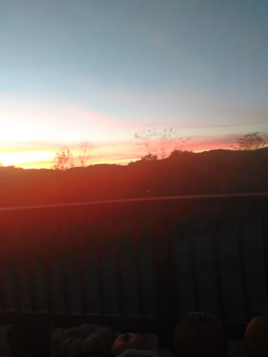 Holly Hill Estates Picture 2