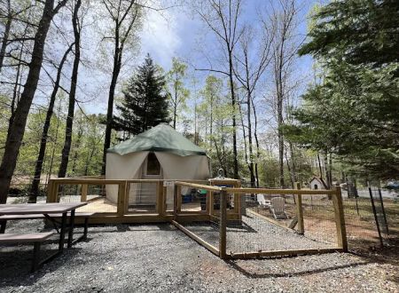 Four Paws Kingdom Campground & Dog Retreat