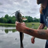 Toms Lake Campground ico
