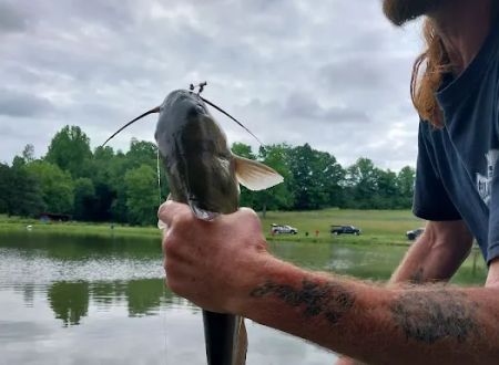 Toms Lake Campground