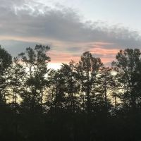 Shingle Hollow Congregational Holiness Camp Ground ico