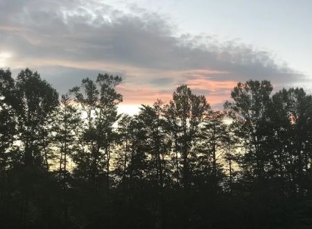 Shingle Hollow Congregational Holiness Camp Ground
