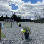 Rutherford Mountain Campground