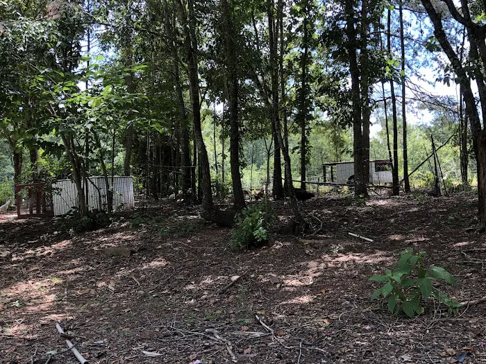 Foothills Family Campground Picture 5