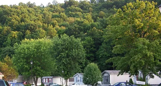 Village Green Community & Home Picture 1