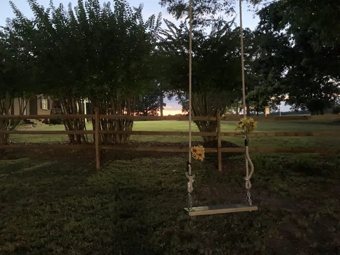 Upstate Pecan Grove Picture 6