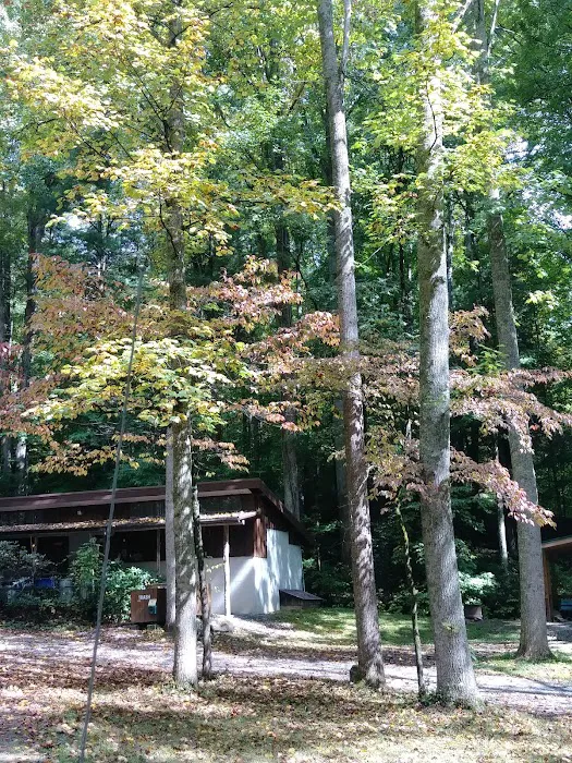 Woodsmoke Campground Picture 9