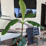 RBAA Campground