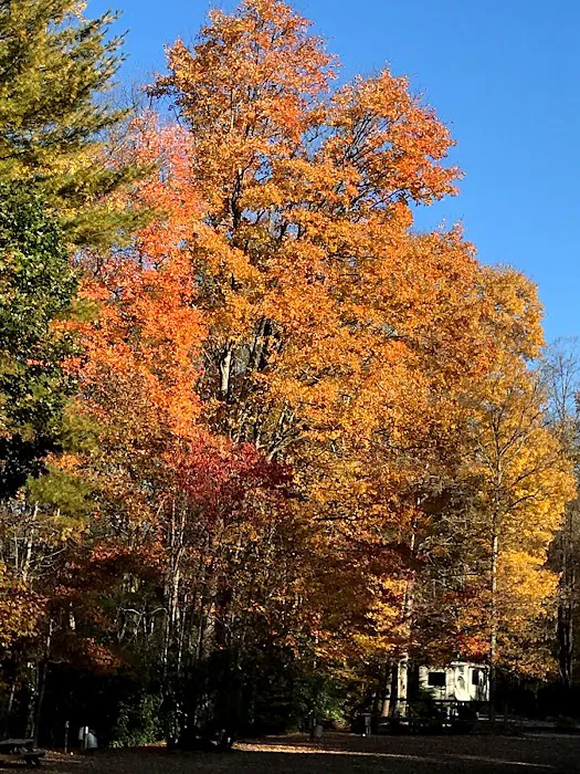 North Indian Creek Campground Picture 3