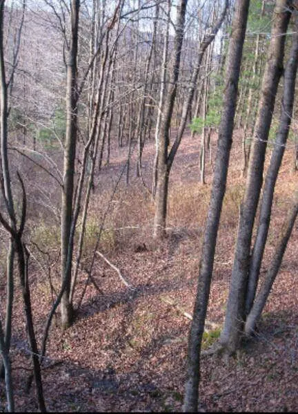 Mt View Acres Picture 1