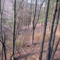 Mt View Acres ico