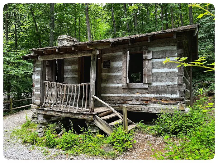 Cove View Campground Picture 1