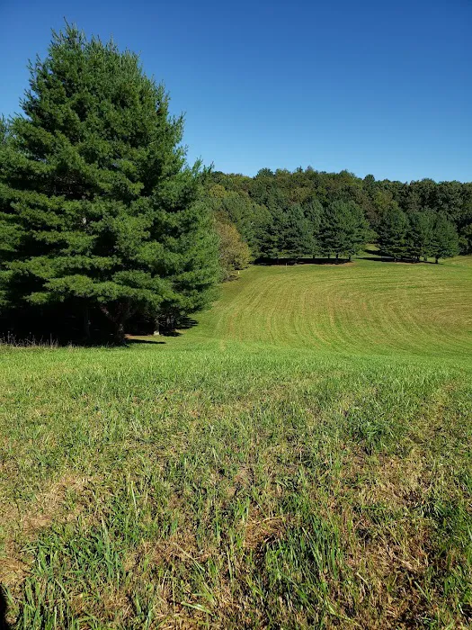 Cove View Campground Picture 8