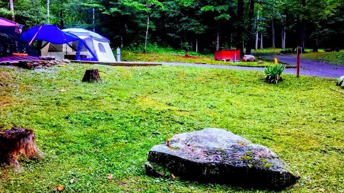 Cave Springs Campground Picture 7