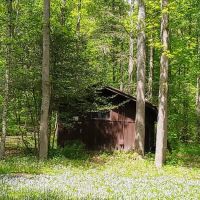 Cave Springs Campground ico