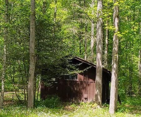 Cave Springs Campground