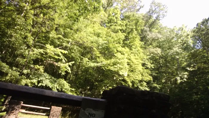 Cave Springs Campground Picture 10