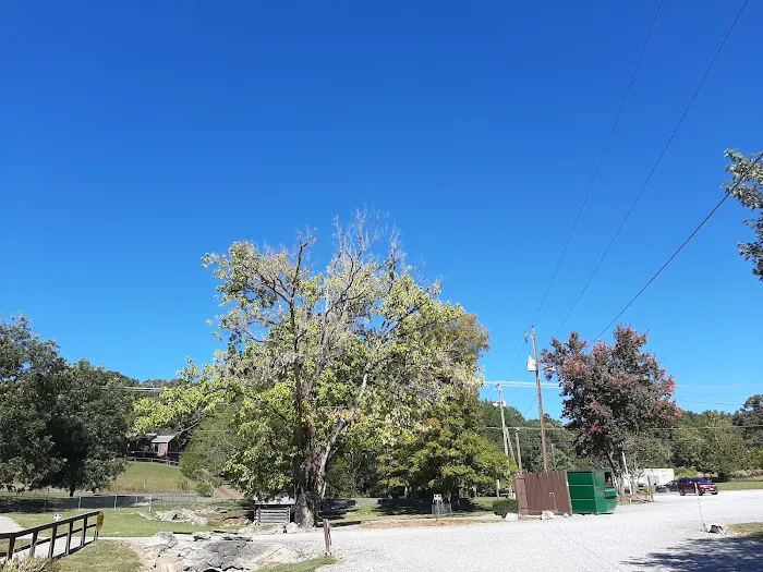 Raccoon Valley at Volunteer Park Picture 6