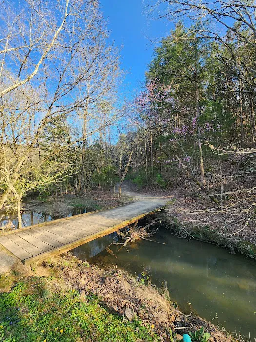 Raccoon Valley at Volunteer Park Picture 8