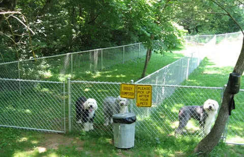 Bristol / Kingsport KOA Holiday Picture 8