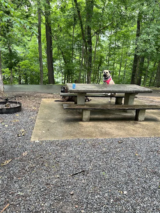 Warriors' Path Main Campground Picture 4