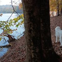 Warriors' Path Main Campground ico