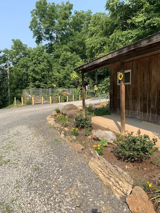Clinch River Family Campground Picture 10