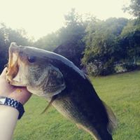 Camp Placid ico